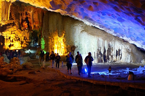 tour du lịch hạ long giá rẻ